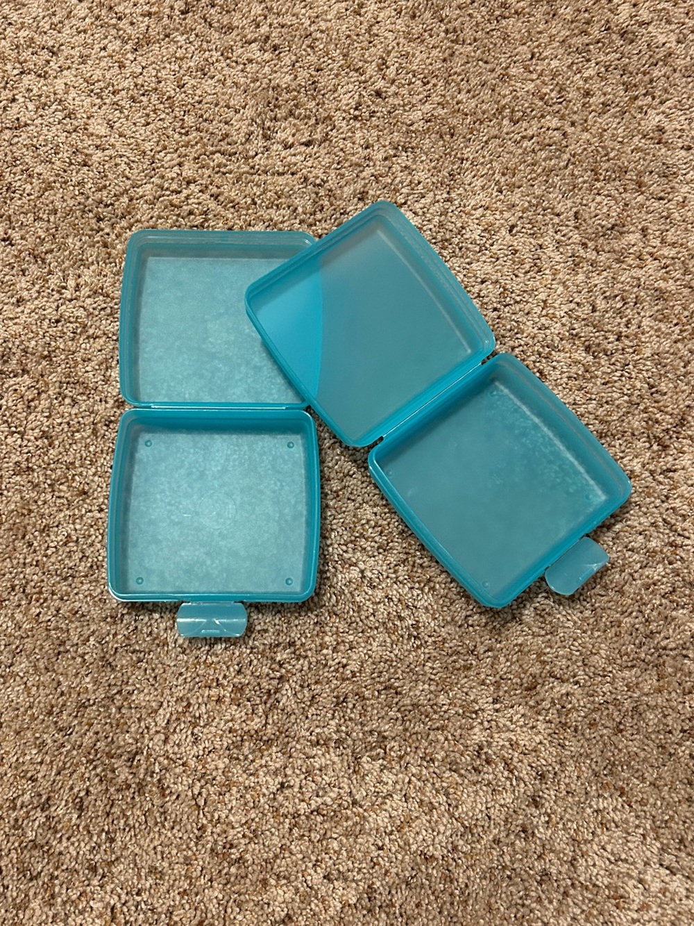 Tupperware Sandwich Keeper - Set of 2 - Picture 3 of 7